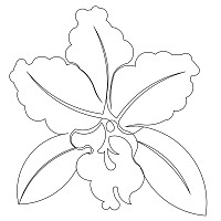 orchid single